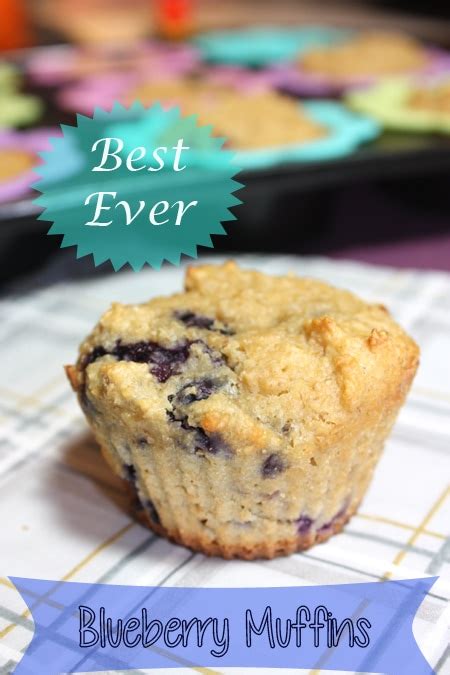 best-ever-blueberry-muffins-busy-but-healthy image