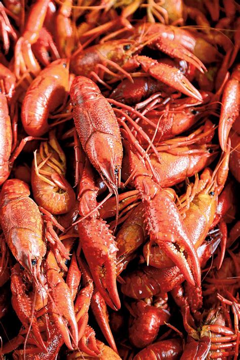 its-time-for-a-crawfish-boil-how-to-boil-crawfish image
