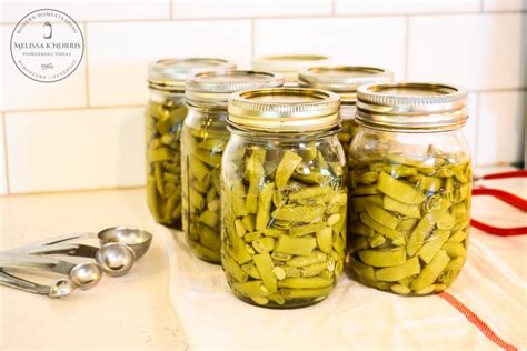 how-to-can-green-beans-the-easy-way-melissa-k-norris image