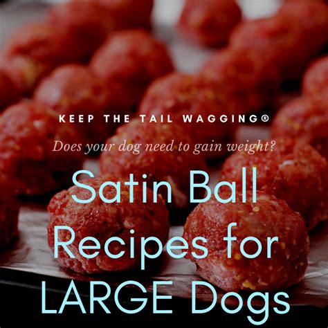 satin-ball-recipes-for-large-dogs-keep-the-tail image