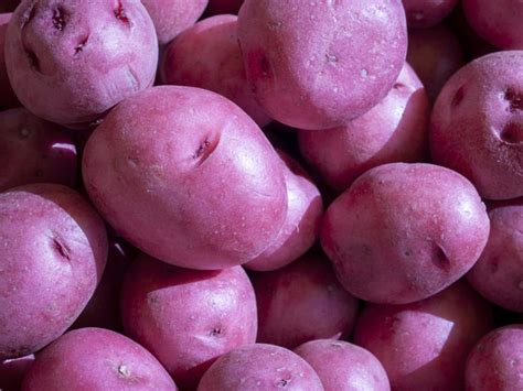 purple-foods-list-livestrong image