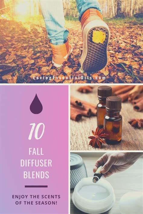 fall-diffuser-blends-loving-essential-oils image