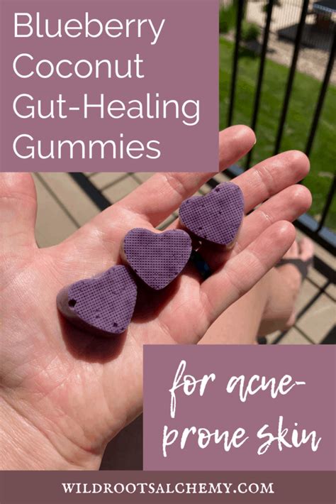 blueberry-coconut-gut-healing-gummies-for-acne image