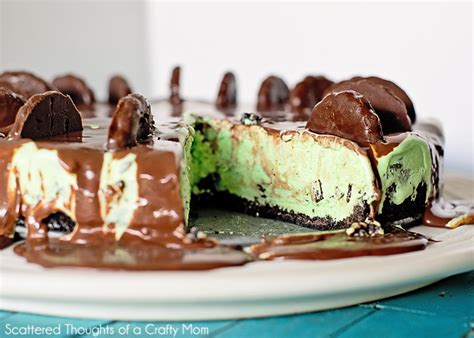easy-mint-chocolate-chip-ice-cream-pie image