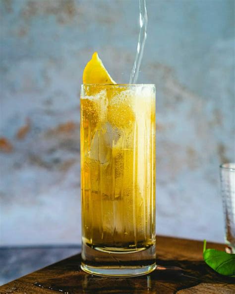 15-essential-highball-cocktails-a-couple-cooks image