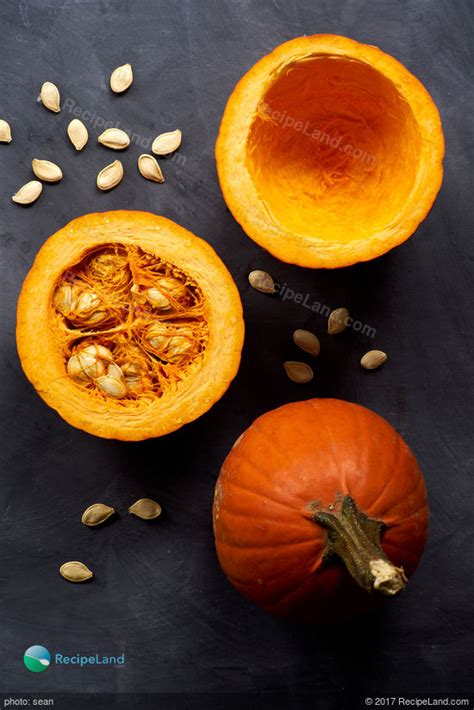 fresh-pumpkin-puree-for-pumpkin-pie-filling image