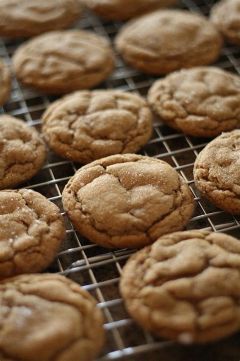soft-ginger-cookies-recipe-laurens-latest image
