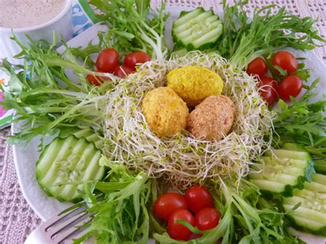 birds-nest-salad-with-citrus-dressing-beautiful-on-raw image