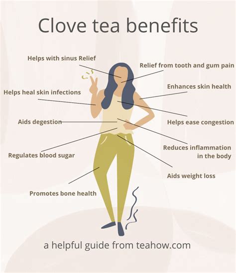 clove-tea-benefits-when-to-drink-it-how-much-and image