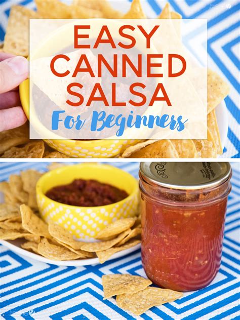 easy-canned-salsa-for-beginners-how-does-she image