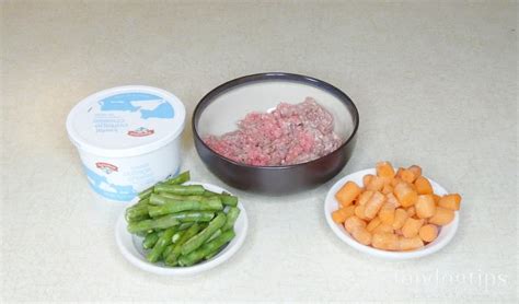 recipe-beef-and-vegetable-meal-for-diabetic-dogs image