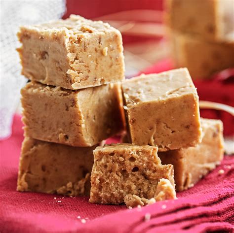 easy-cookie-butter-fudge-savory-nothings image