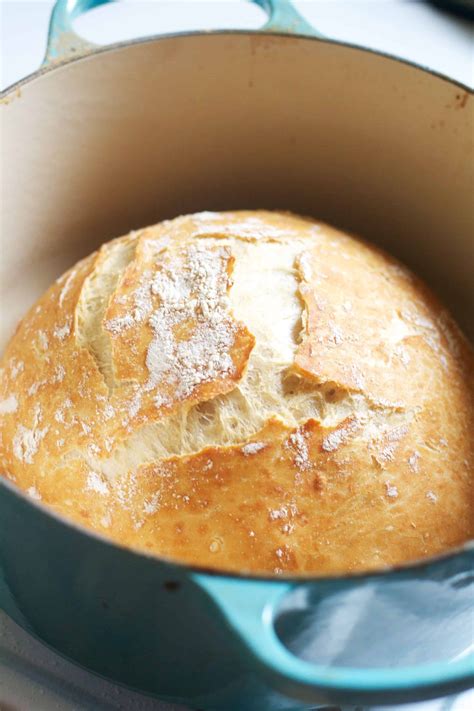 no-knead-crusty-artisan-bread-the-baker-chick image
