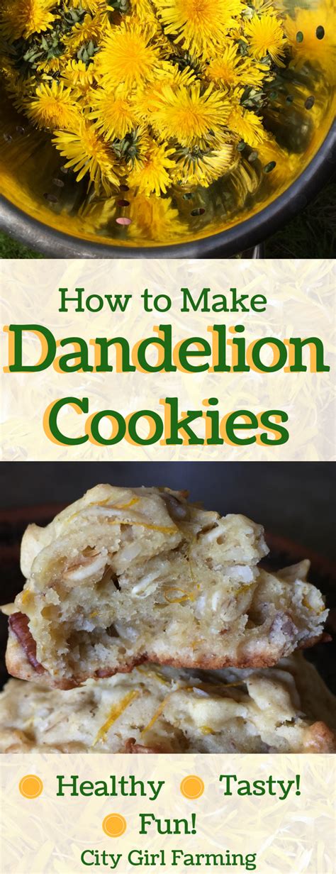 how-to-make-dandelion-cookies-with-essential-oils image
