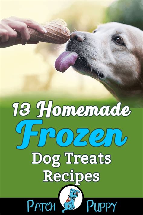 13-homemade-frozen-dog-treats image