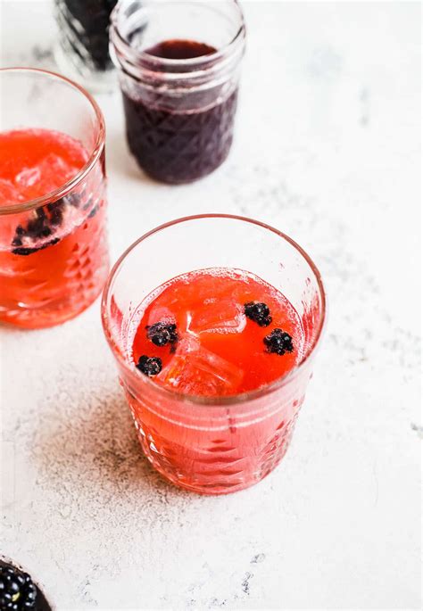 blackberry-ginger-collins-cocktail-salted-plains image