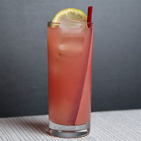 rhubarb-strawberry-collins-recipe-liquorcom image