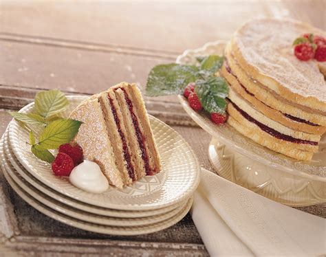 raspberry-chocolate-torte-recipe-get-cracking image