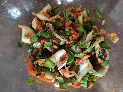 how-to-make-easy-bok-choy-kimchi-kimchi-recipescom image