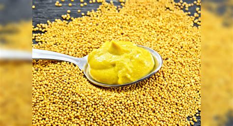 these-10-facts-about-yellow-mustard-that-make-it-a image