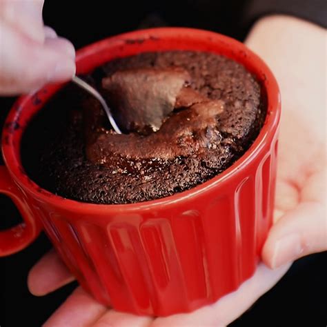 chocolate-oatmeal-mug-cake-no-flour-recipe-quaker image