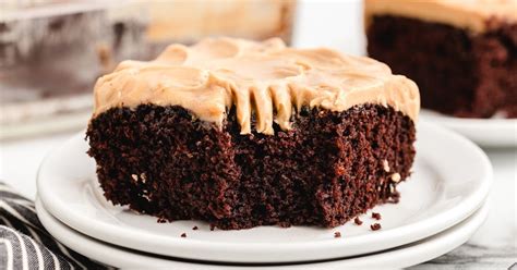 chocolate-peanut-butter-crazy-cake-the-best-blog image