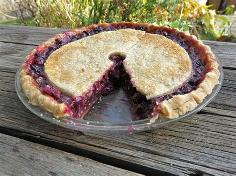 canadian-classic-concord-grape-pie-a-canadian-foodie image