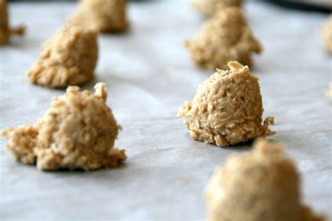 flourless-caramel-oat-cookies-gluten-free image
