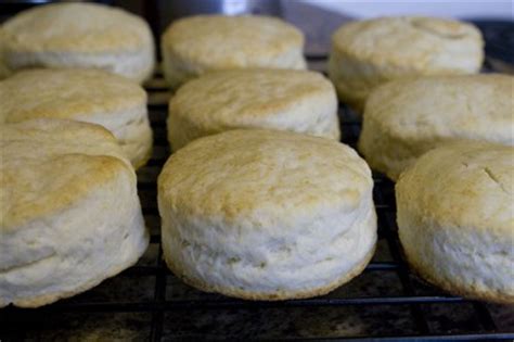 light-and-fluffy-baking-powder-biscuits-tasty-kitchen image
