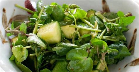 10-best-cucumber-wasabi-dressing-recipes-yummly image