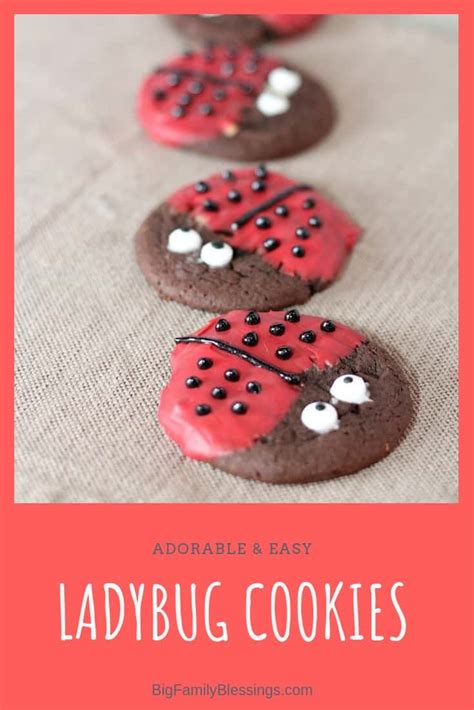 easy-adorable-ladybug-cookies-big-family-blessings image