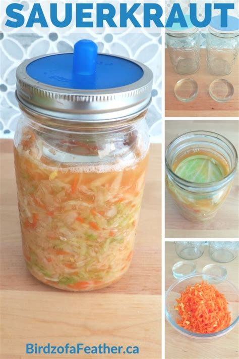 sauerkraut-recipe-organic-carrot-ginger-birdz-of image