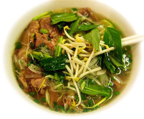 pho-bo-vietnamese-beef-soup-recipe-temple-of-thai image