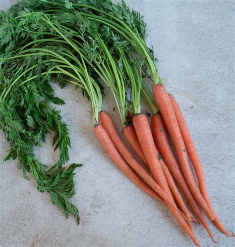 raw-carrot-ribbon-crunch-salad-northcoasteatscom image