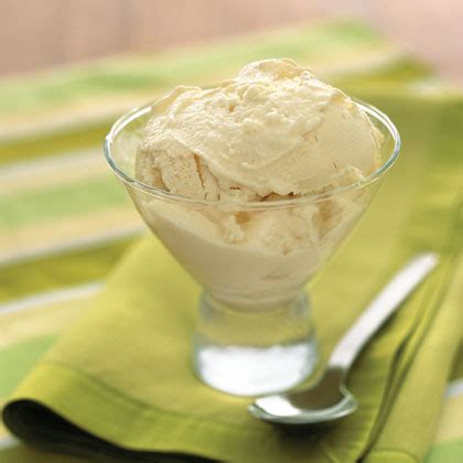 vanilla-ice-milk-recipe-myrecipes image
