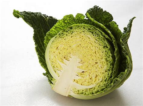 cabbage-borscht-cookstrcom image