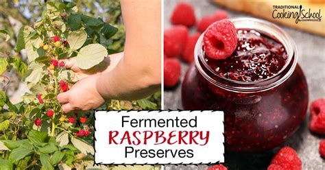 fermented-raspberry-preserves-traditional-cooking image
