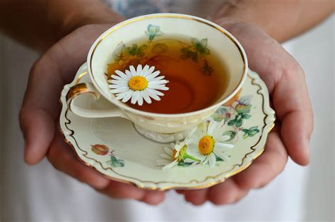 how-to-make-chamomile-tea-5-recipes-from-simple image