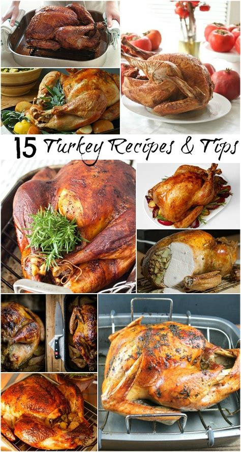 collection-of-turkey-recipes-will-cook-for-smiles image