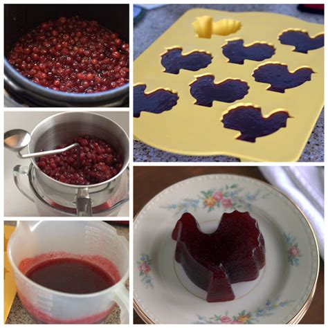 jellied-cranberry-sauce-barbara-bakes image