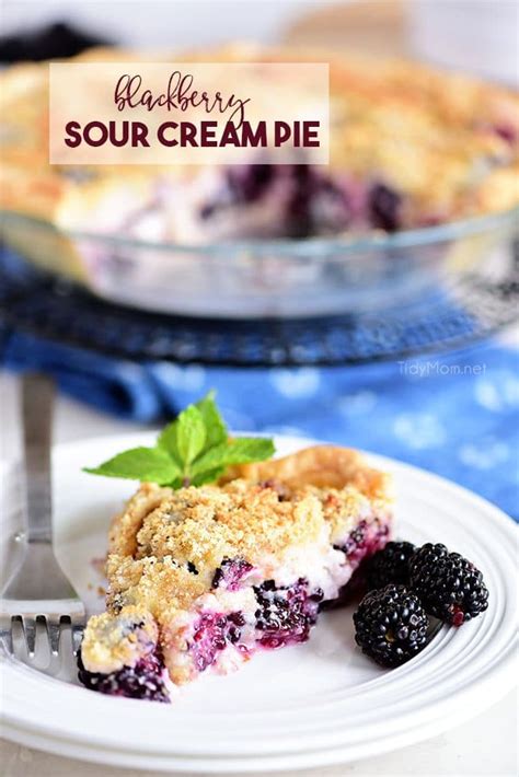 blackberry-sour-cream-pie-tidymom image