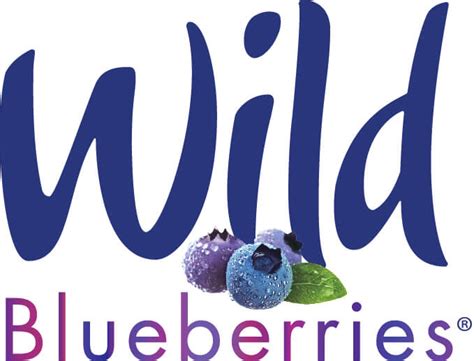 wild-blueberries-recipes-wild-blueberries image