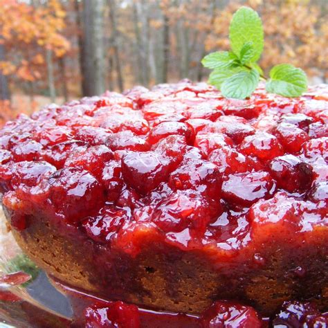 cranberry-dessert image