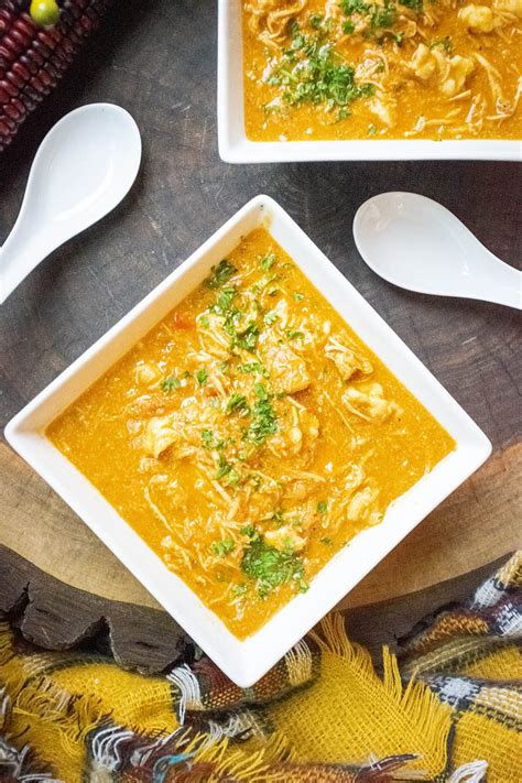 old-fashioned-chicken-paprikash-soup-the-starving image