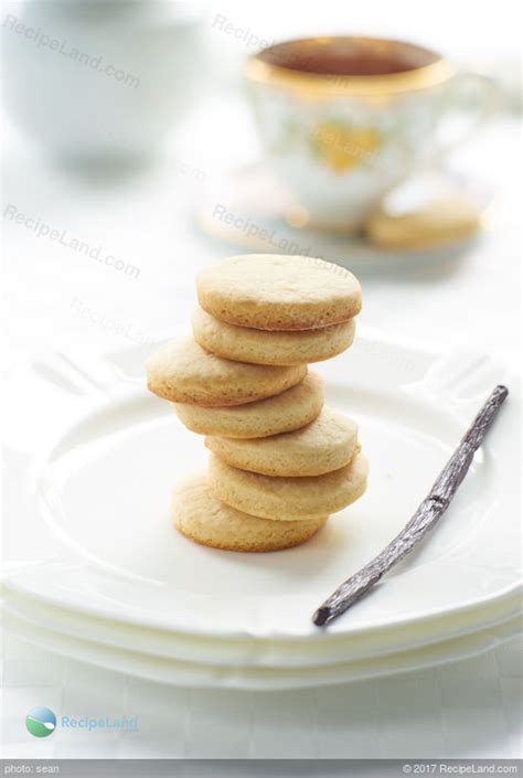 homemade-vanilla-wafers-recipe-recipelandcom image