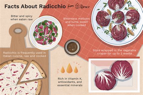 what-is-radicchio-the-spruce-eats image