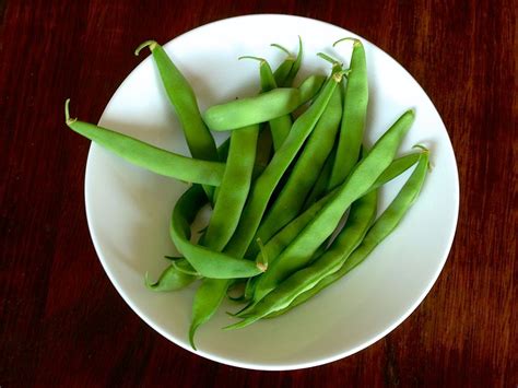 anasazi-green-beans-baby-birds-farm-and-cocina image