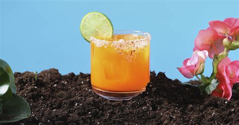 best-spicy-tequila-drink-recipes-supercall image