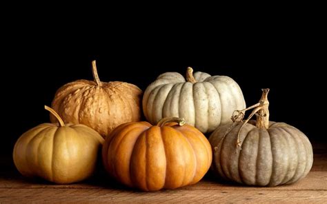 heirloom-pumpkins-20-heritage-varieties-to-find-for-fall image