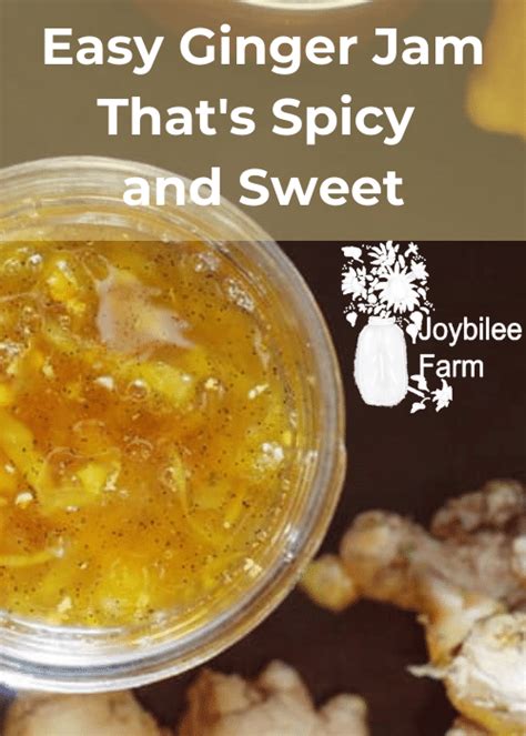 easy-ginger-jam-thats-spicy-and-sweet-joybilee image